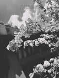 black and white floral  branch with blurred background and 'House of Meadows' text.