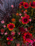red and yellow gaillardia wildflowers in a summer garden
moody floral photography
