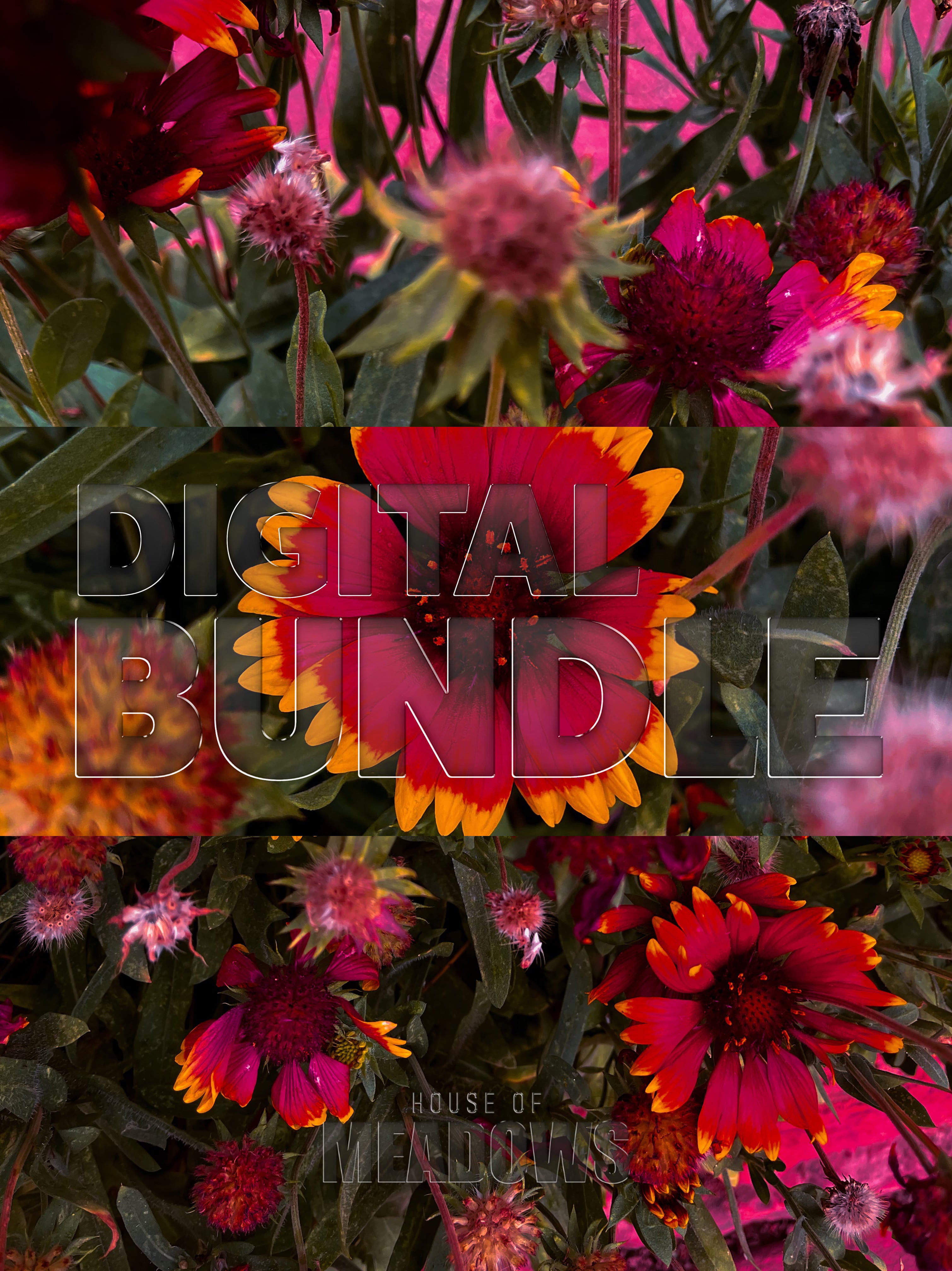 Garden in Heat Bundle | Botanical Print Digital Download