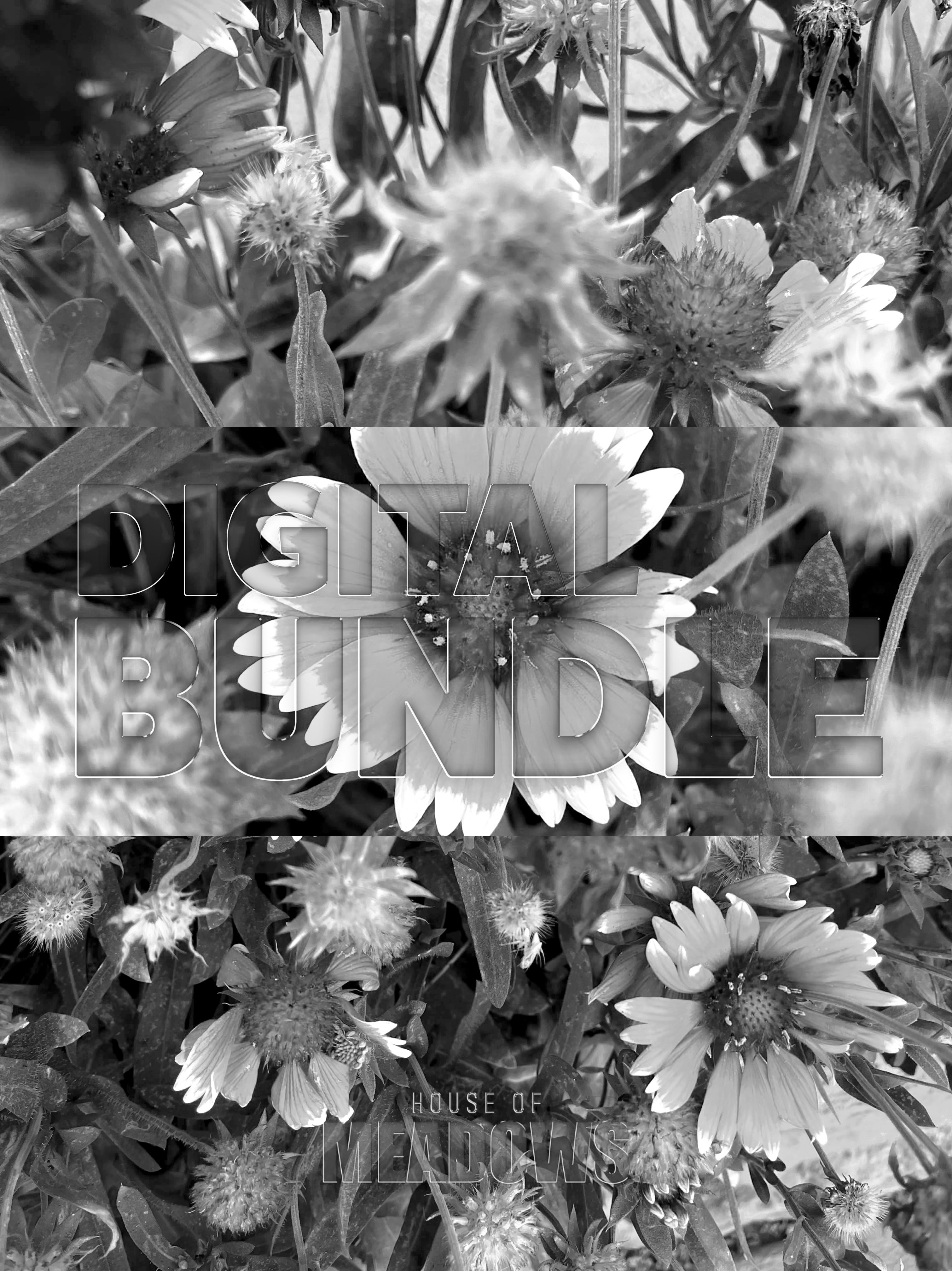 Garden in Heat Bundle (Shadow) | Botanical Print Digital Download