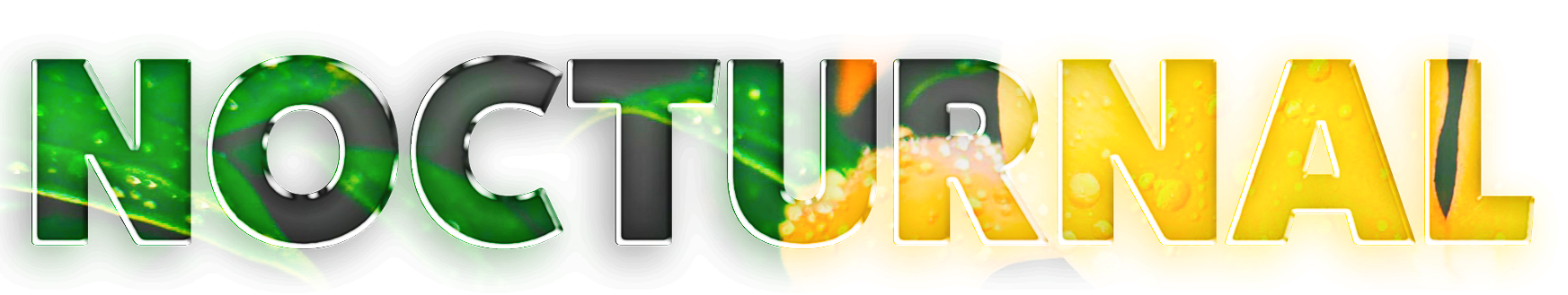 Text 'NOCTURNAL'  in colorful 3D letters on a black background