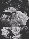 The Garden Blushes Bundle (Shadow) | Botanical Print Digital Download