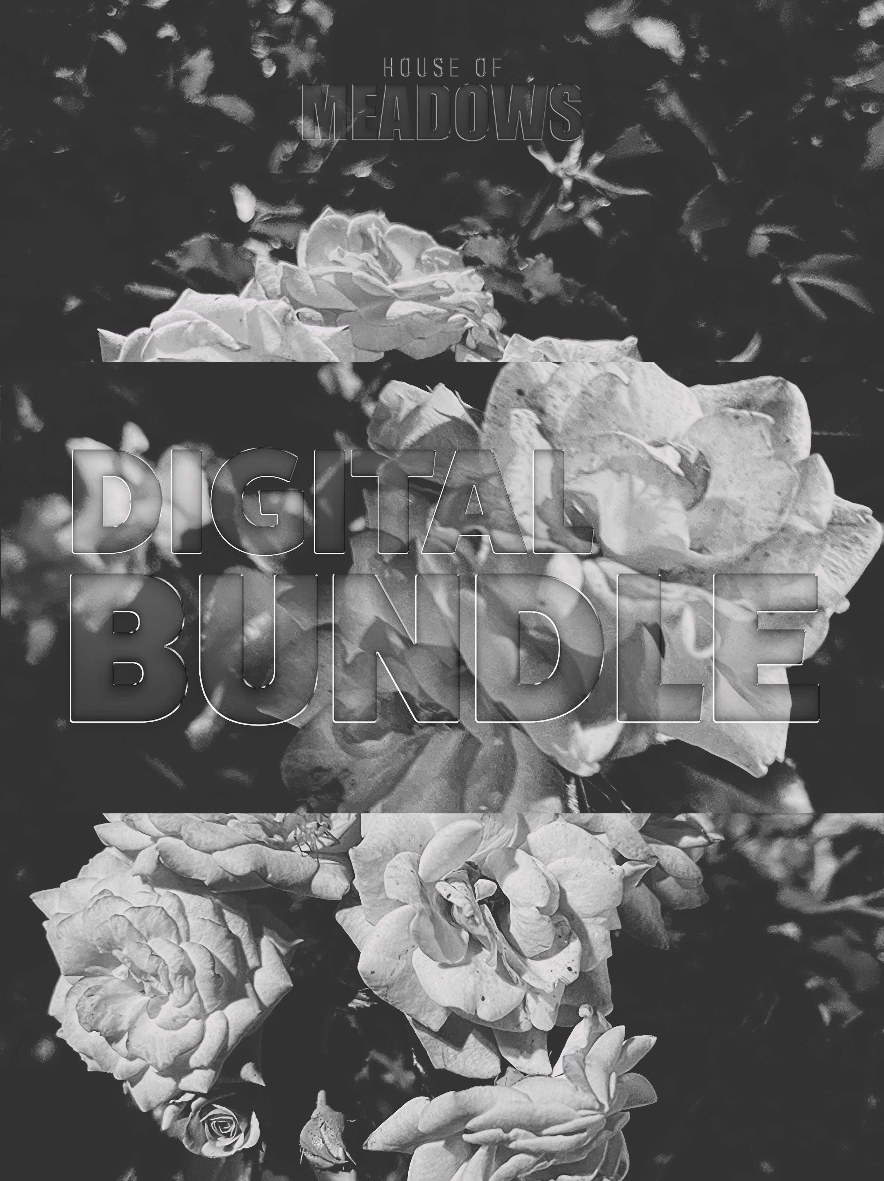 The Garden Blushes Bundle (Shadow) | Botanical Print Digital Download