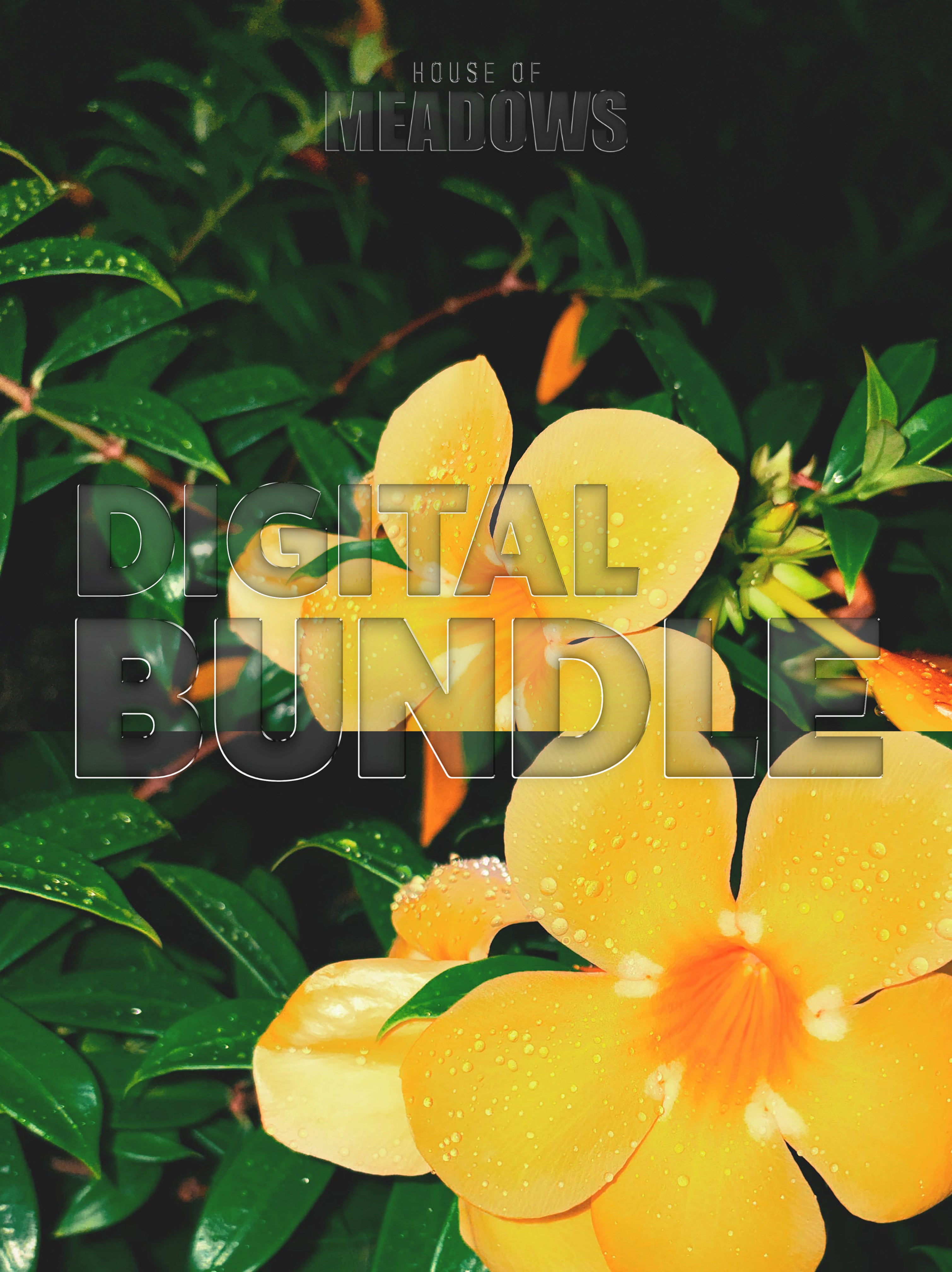 Wet Hot Nights Bundle | Botanical Print Digital Download