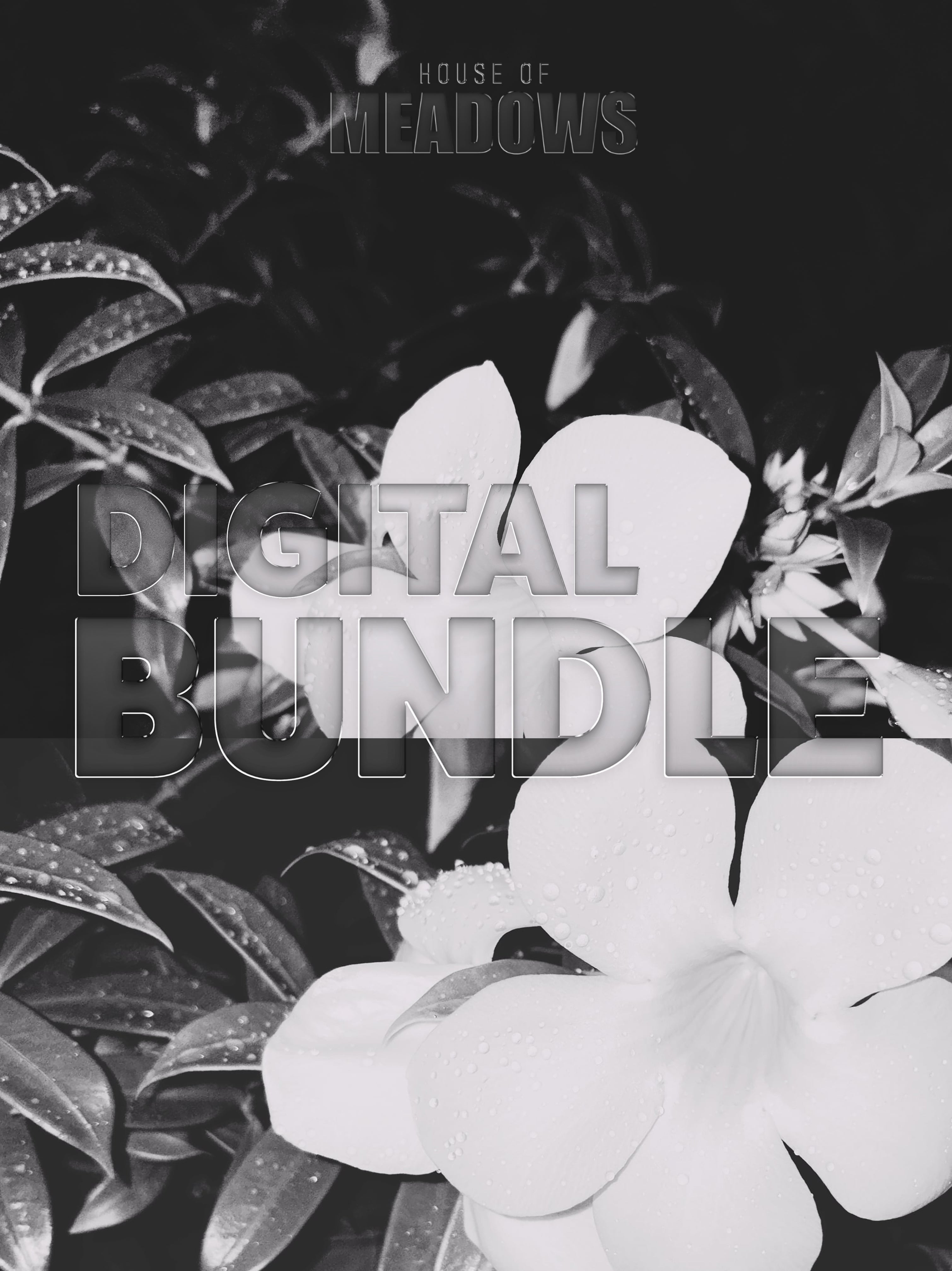 Wet Hot Nights Bundle (Shadow) | Botanical Print Digital Download